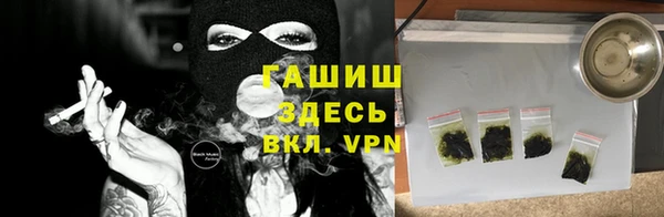 мет Алексин