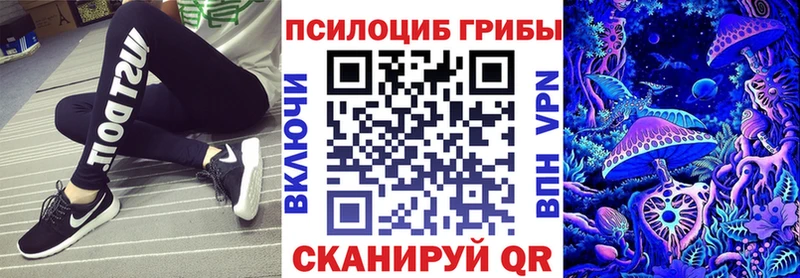 Псилоцибиновые грибы мицелий  где купить наркоту  Чайковский 